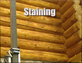  Long Island, Virginia Log Home Staining